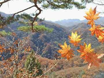 库尔勒市文化广电体育和旅游局人事任命揭晓，开启发展新篇章