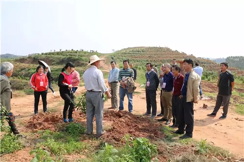 刘圩镇最新项目，先锋力量引领地区发展